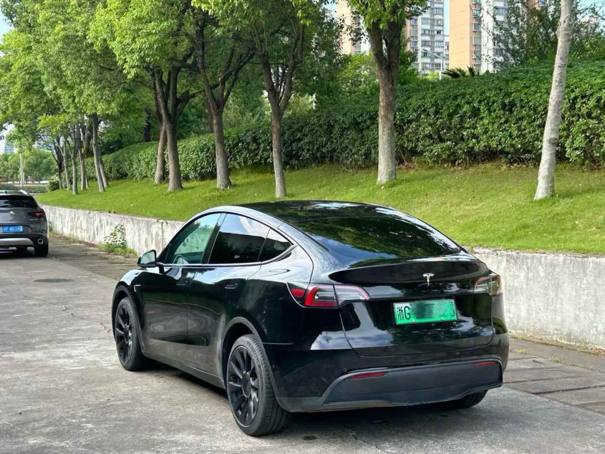 特斯拉 Model S  2021款 Performance 高性能版圖片