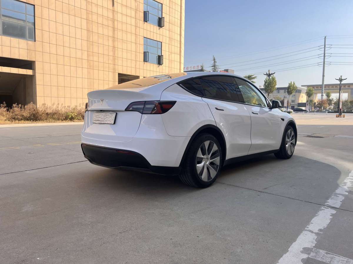 特斯拉 Model 3  2021款 標準續(xù)航后驅升級版 3D6圖片