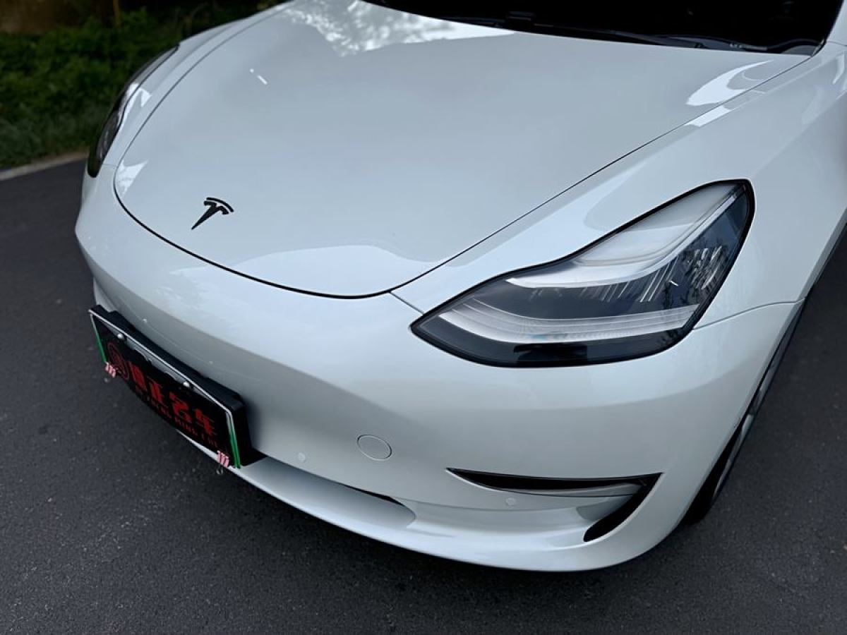 特斯拉 Model 3  2019款 长续航后驱版图片