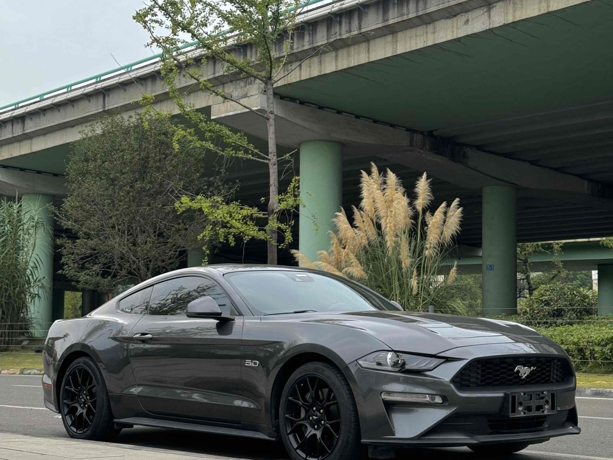 2019年1月福特 Mustang  2018款 2.3L EcoBoost