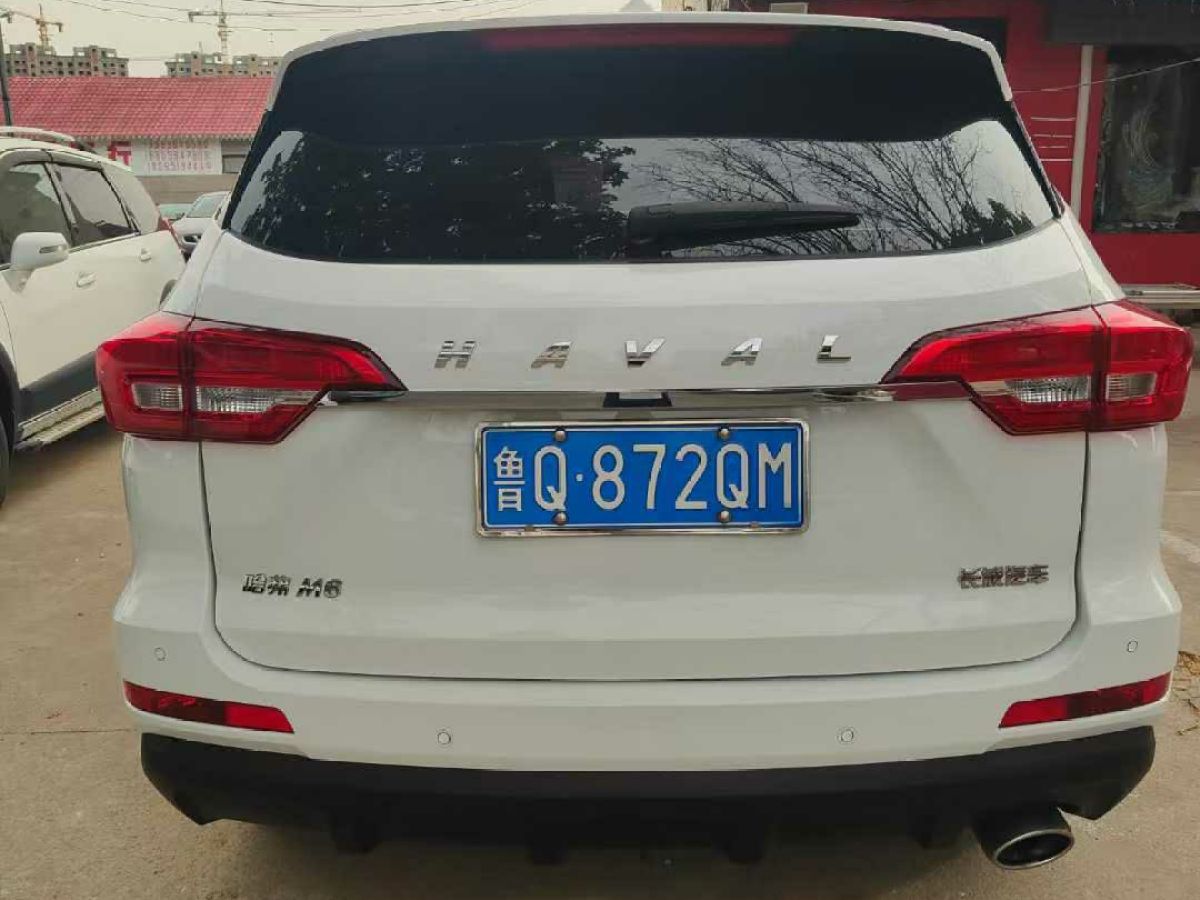 哈弗 M6  2021款 PLUS 1.5T DCT柳巖聯(lián)名版圖片