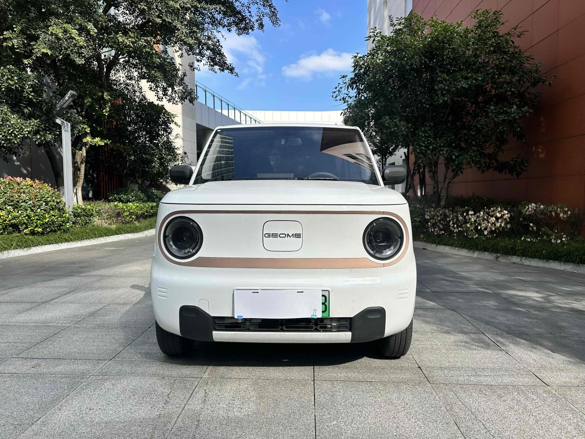 2023年12月吉利 熊貓mini  2023款 200km 耐力熊