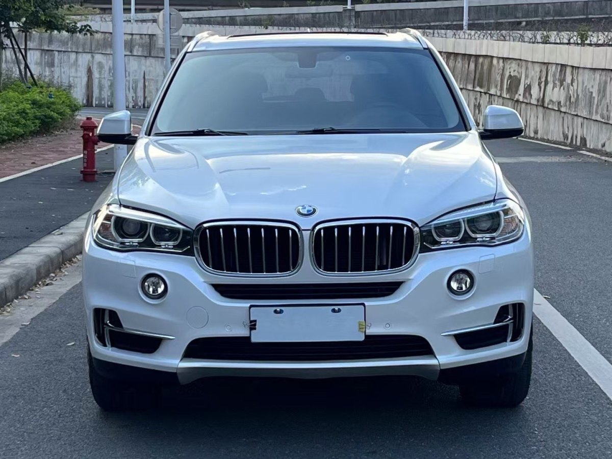 寶馬 寶馬X5  2017款 xDrive35i 典雅型圖片