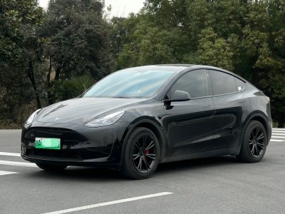 2022年6月 特斯拉 Model 3 后輪驅動版圖片