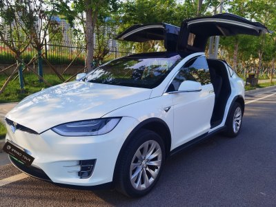 2018年8月 特斯拉 Model X Model X 75D圖片