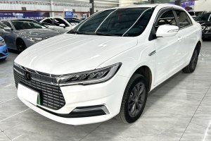 秦Pro新能源 比亚迪 EV 出行版