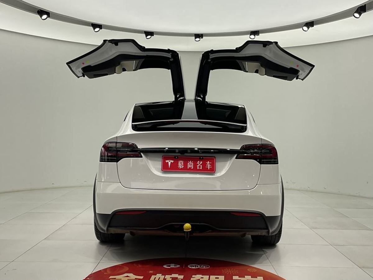 特斯拉 Model X  2023款 雙電機(jī)全輪驅(qū)動(dòng)版圖片