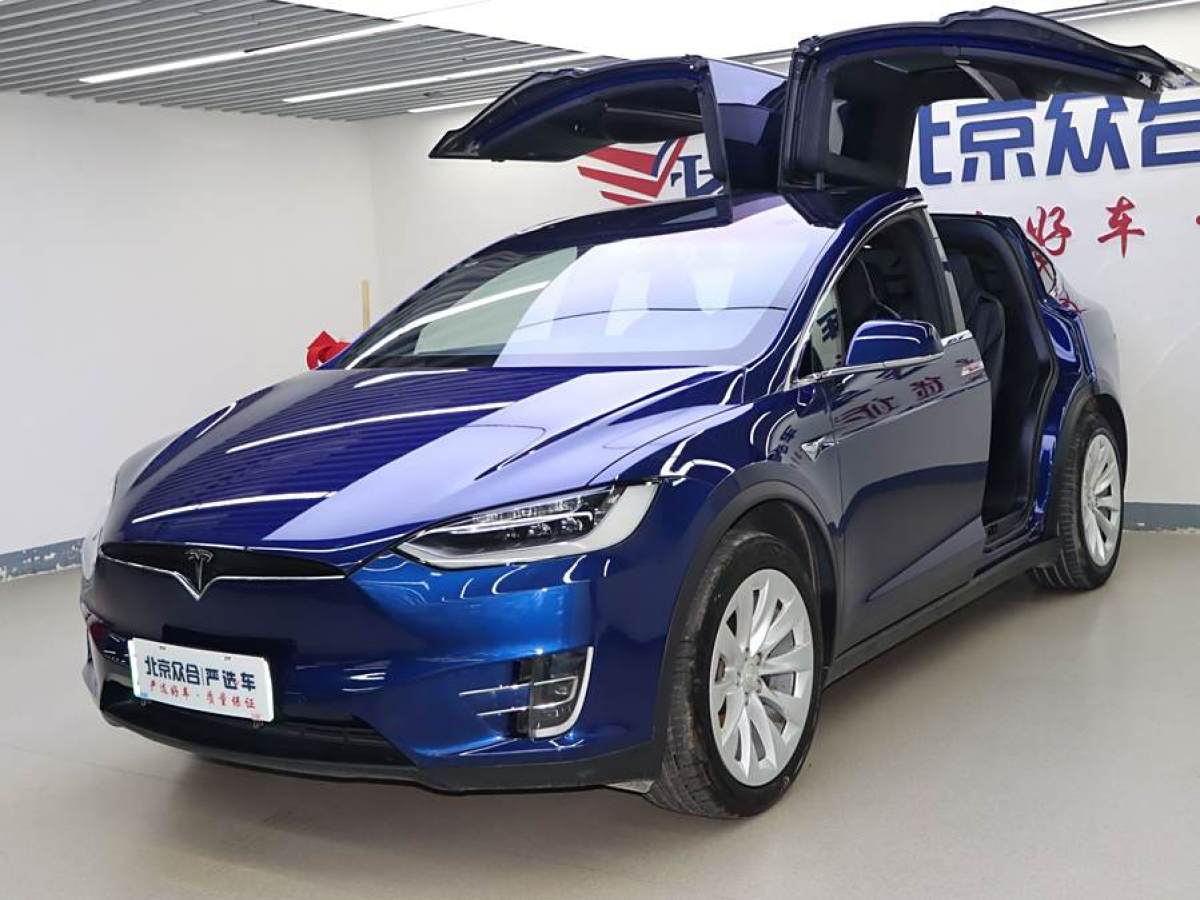 特斯拉 Model X  2016款 Model X 75D圖片