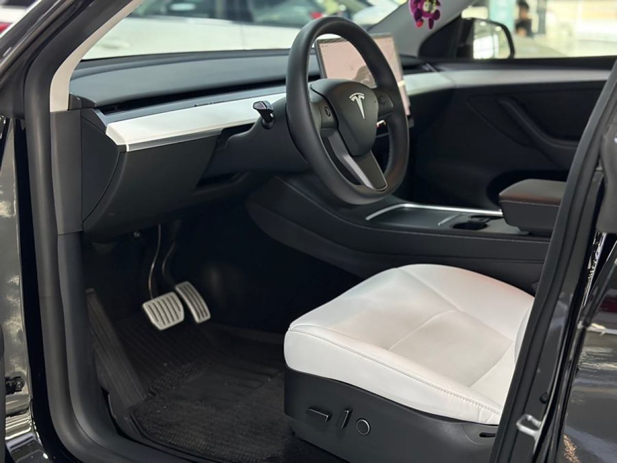 特斯拉 Model Y  2022款 Performance高性能全輪驅(qū)動版圖片