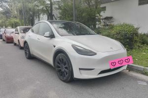 Model Y 特斯拉 Performance高性能全輪驅(qū)動版