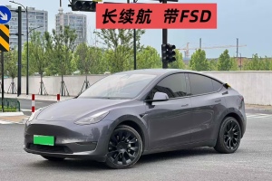 Model Y 特斯拉 長續(xù)航全輪驅(qū)動(dòng)版