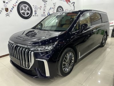 2023年10月 嵐圖 夢(mèng)想家 PHEV 超長(zhǎng)續(xù)航旗艦版圖片