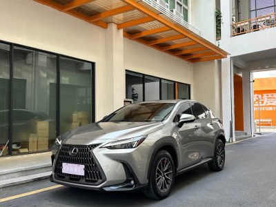 2022年9月 雷克薩斯 NX 260 前驅 創(chuàng)悅版圖片