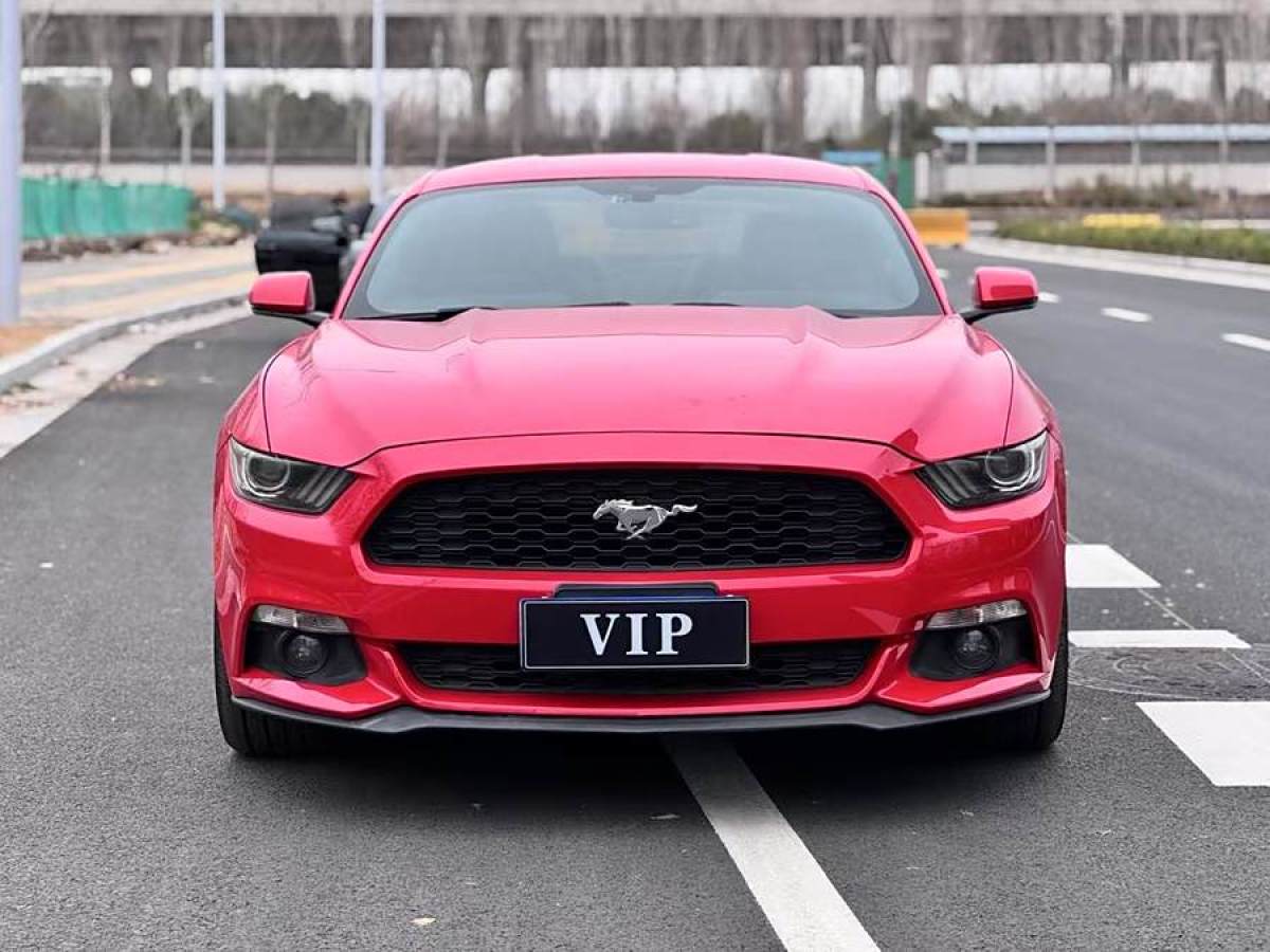 福特 Mustang  2015款 2.3T 性能版圖片