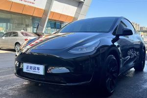 Model 3 特斯拉 改款 长续航后轮驱动版