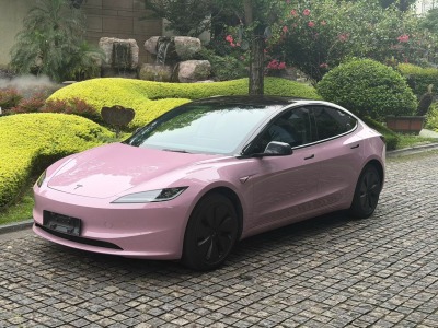 特斯拉 Model 3  2023款 煥新版 后輪驅(qū)動(dòng)圖片