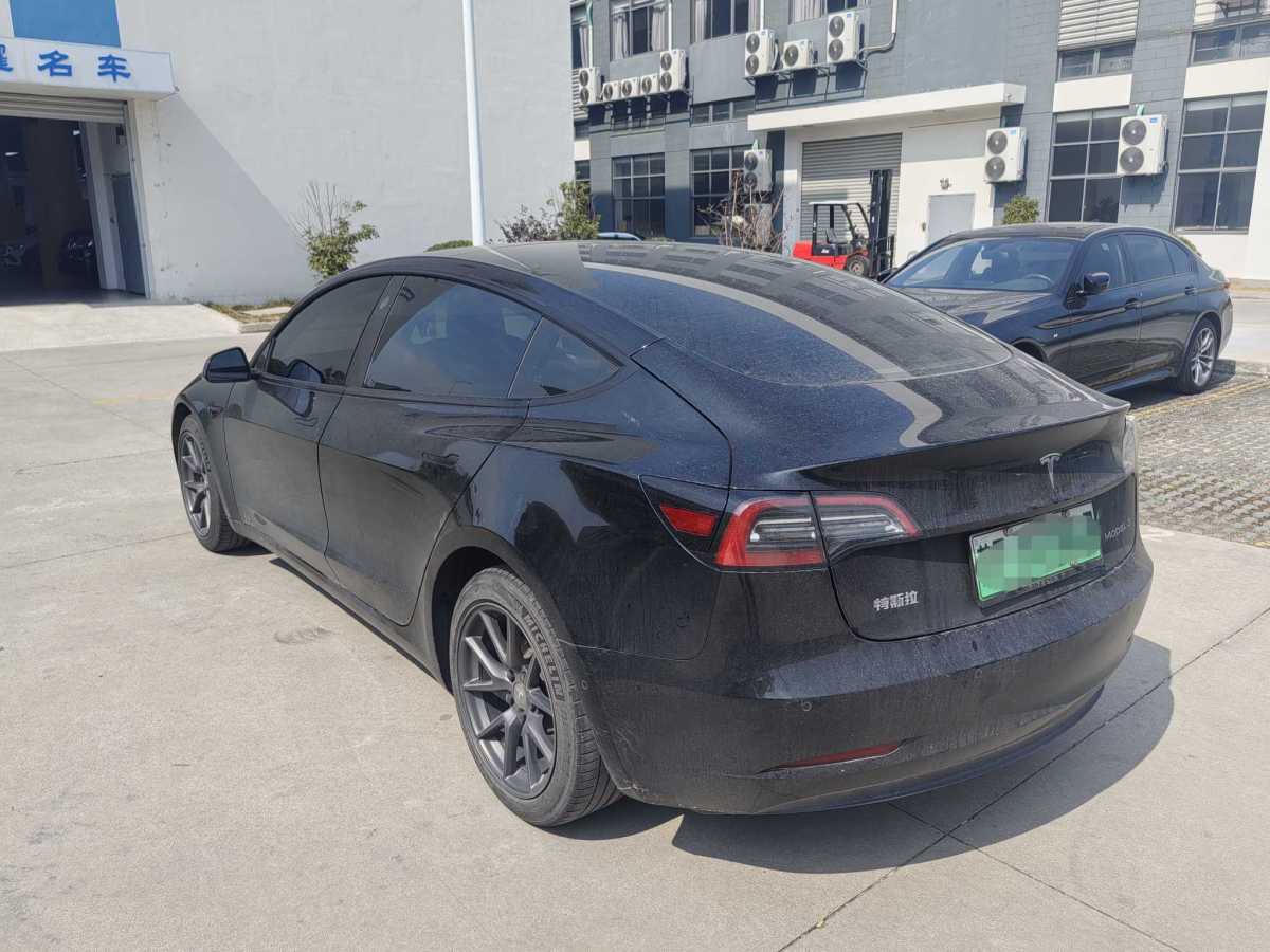 特斯拉 Model 3  2021款 標(biāo)準(zhǔn)續(xù)航后驅(qū)升級(jí)版 3D6圖片