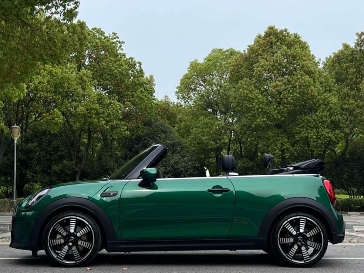 MINI MINI  2023款 改款 2.0T COOPER S CABRIO 藝術(shù)家圖片