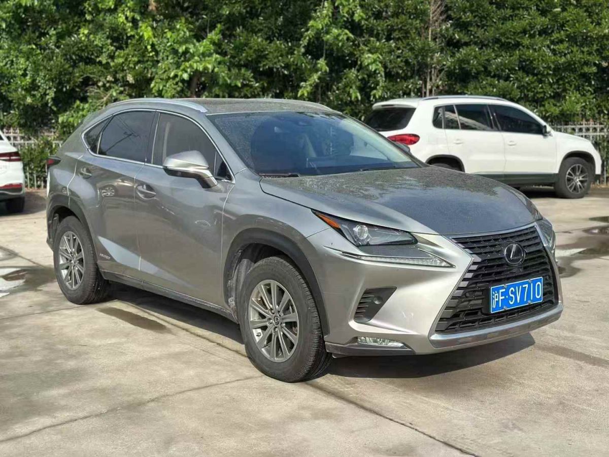雷克薩斯 NX  2019款 300h 百萬紀念限量版 國VI圖片