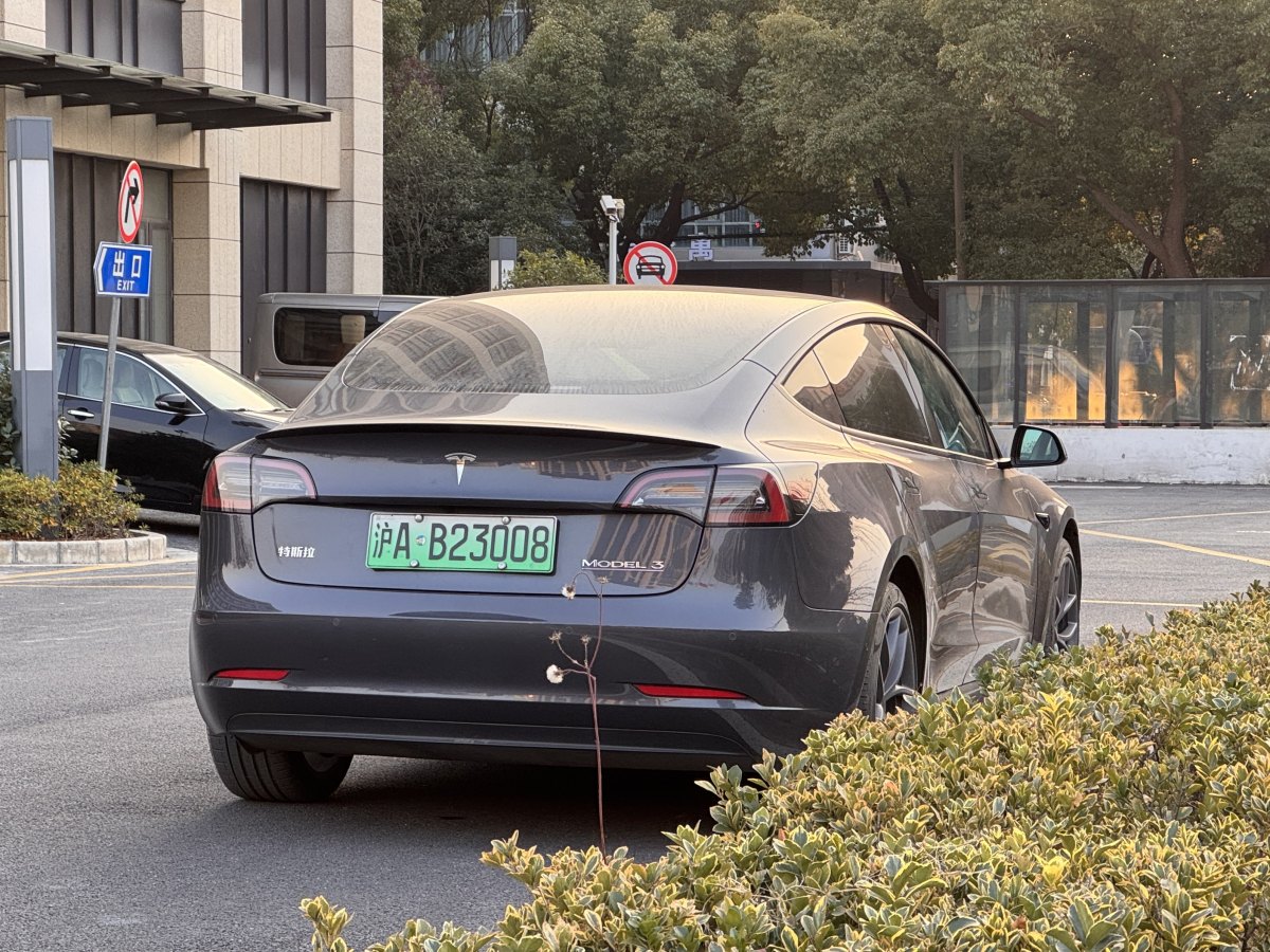 特斯拉 Model 3  2019款 Performance高性能全輪驅(qū)動版圖片