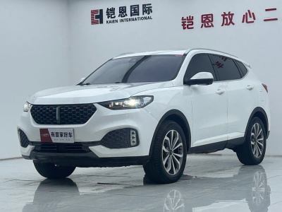 2019年9月 WEY VV6 2.0T 兩驅(qū)智享+圖片