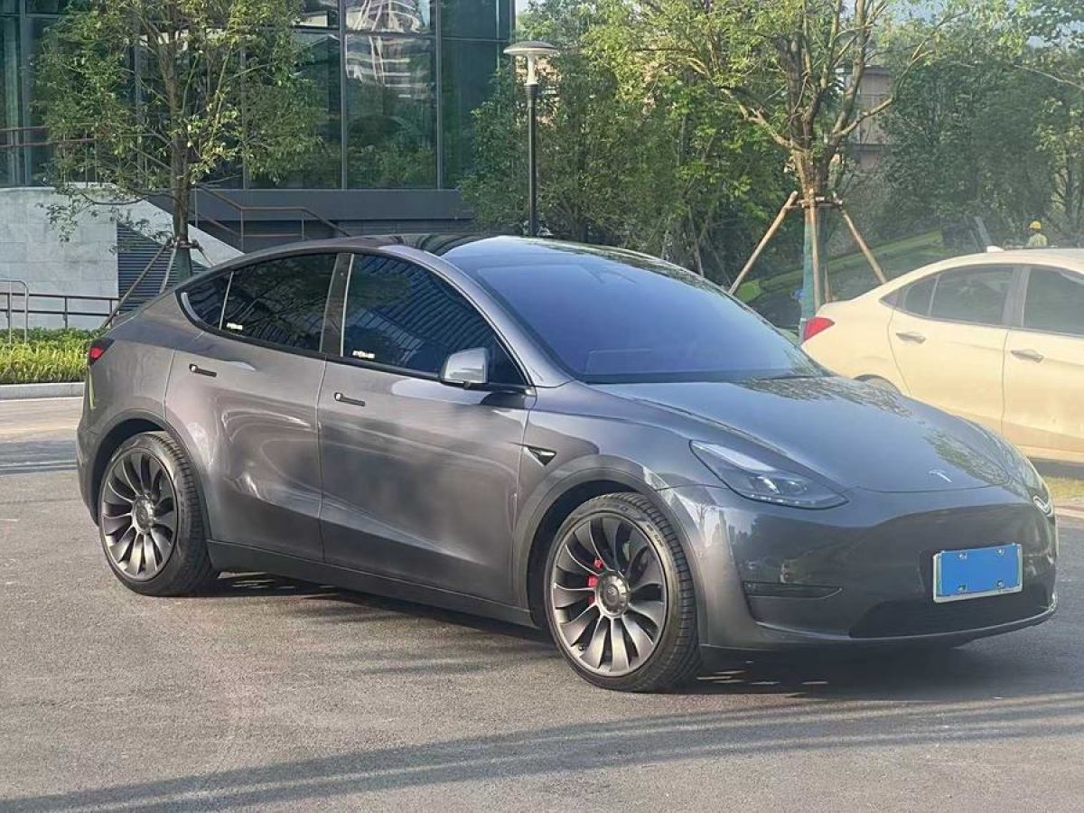 特斯拉 Model Y  2021款 改款 Performance高性能全輪驅(qū)動版圖片