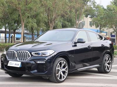 2020年9月 宝马 宝马X6(进口) xDrive40i M运动套装图片