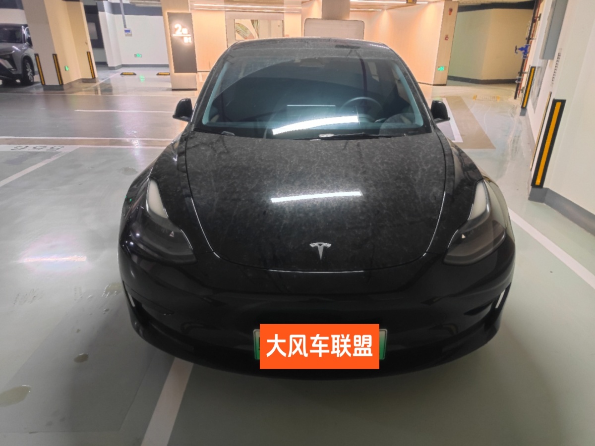 特斯拉 Model 3  2021款 改款 標(biāo)準(zhǔn)續(xù)航后驅(qū)升級(jí)版圖片