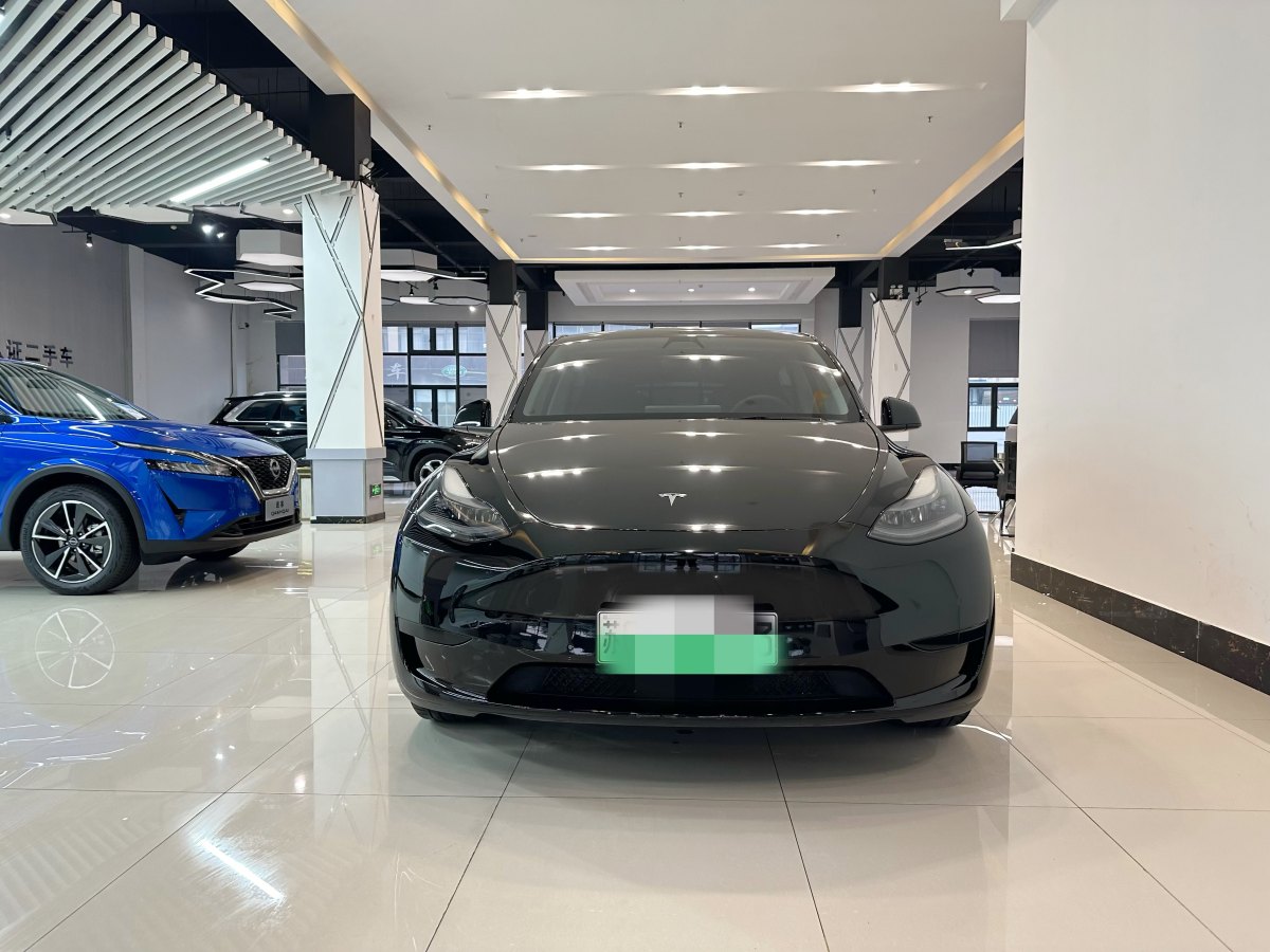 特斯拉 Model Y  2020款 改款 長(zhǎng)續(xù)航后輪驅(qū)動(dòng)版圖片