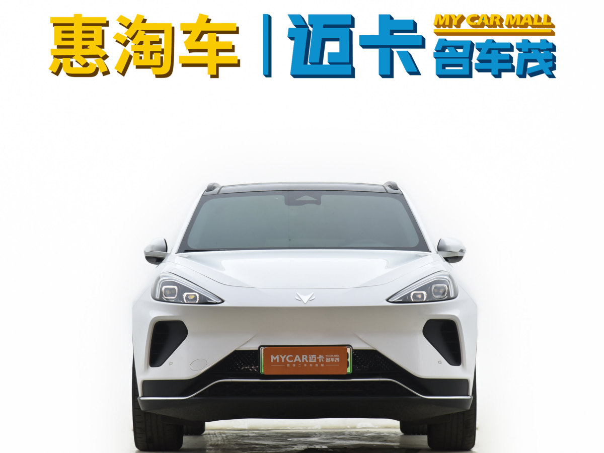 2023年3月極狐 極狐 阿爾法T(ARCFOX αT)  2023款 480E 森林版 175kW