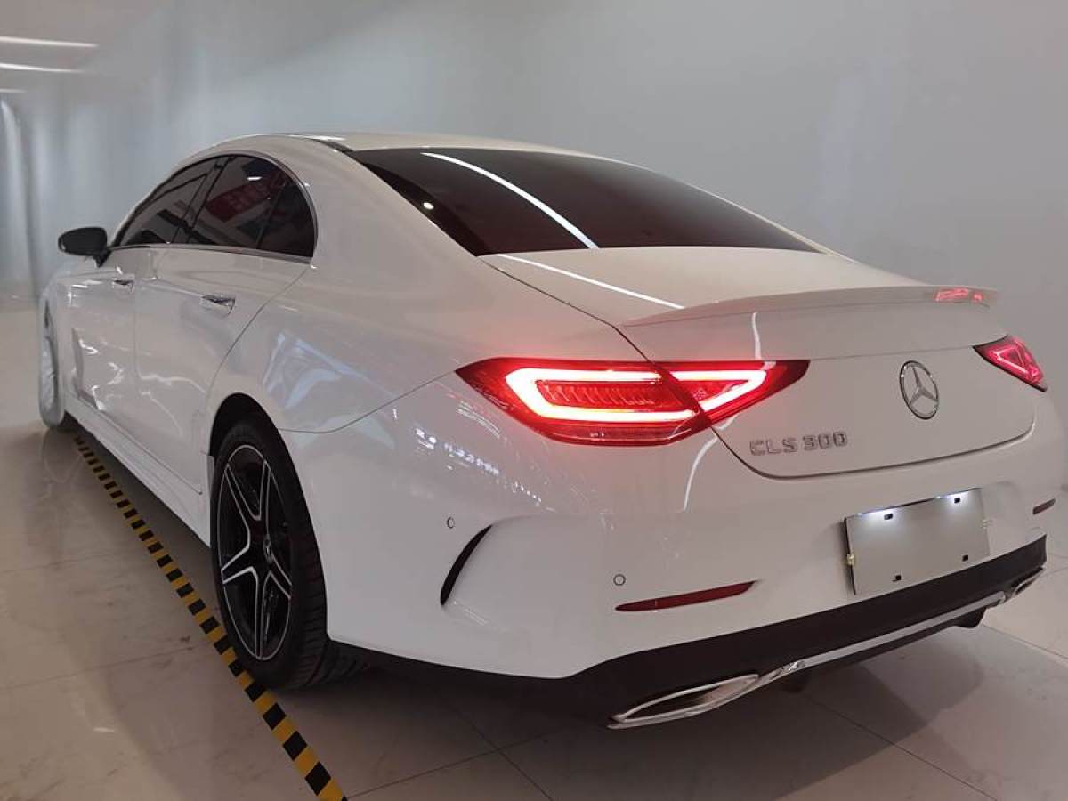 奔馳 奔馳CLS級  2023款 改款 CLS 300 豪華型圖片