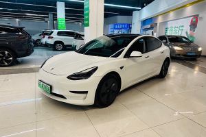 Model 3 特斯拉 改款 標(biāo)準(zhǔn)續(xù)航后驅(qū)升級(jí)版