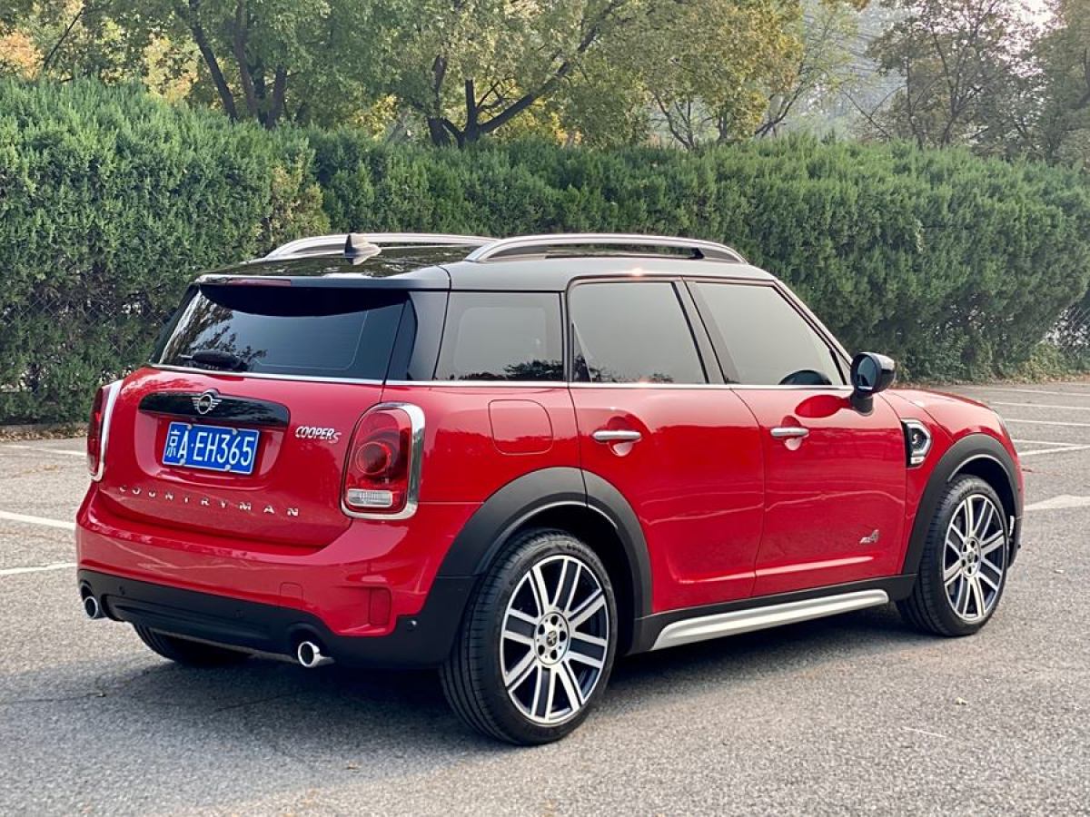 MINI COUNTRYMAN  2019款 2.0T COOPER S ALL4 藝術(shù)家圖片