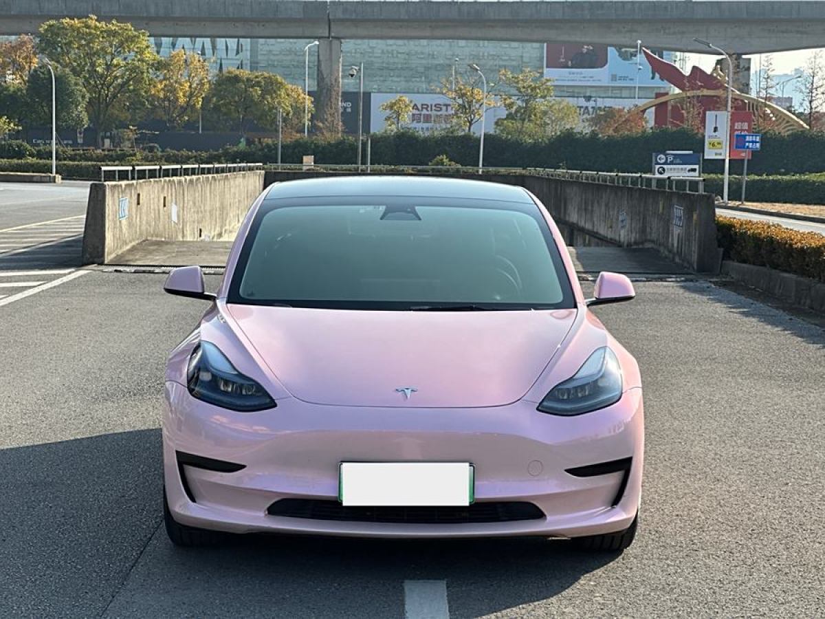 特斯拉 Model Y  2022款 改款 后輪驅(qū)動(dòng)版圖片