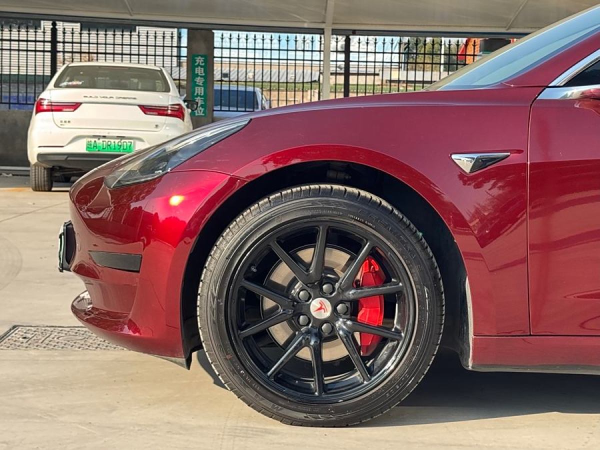 特斯拉 Model 3  2019款 標(biāo)準(zhǔn)續(xù)航后驅(qū)升級(jí)版圖片