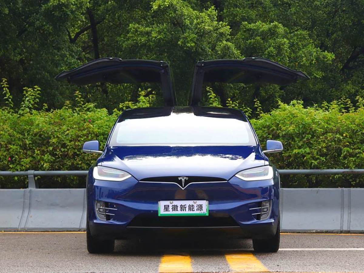 特斯拉 Model X  2019款 長續(xù)航版圖片