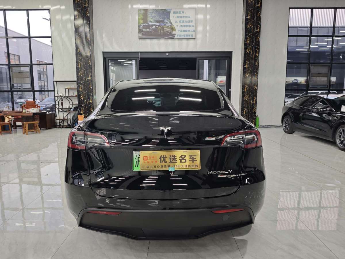 特斯拉 Model Y  2021款 標(biāo)準(zhǔn)續(xù)航后驅(qū)版圖片