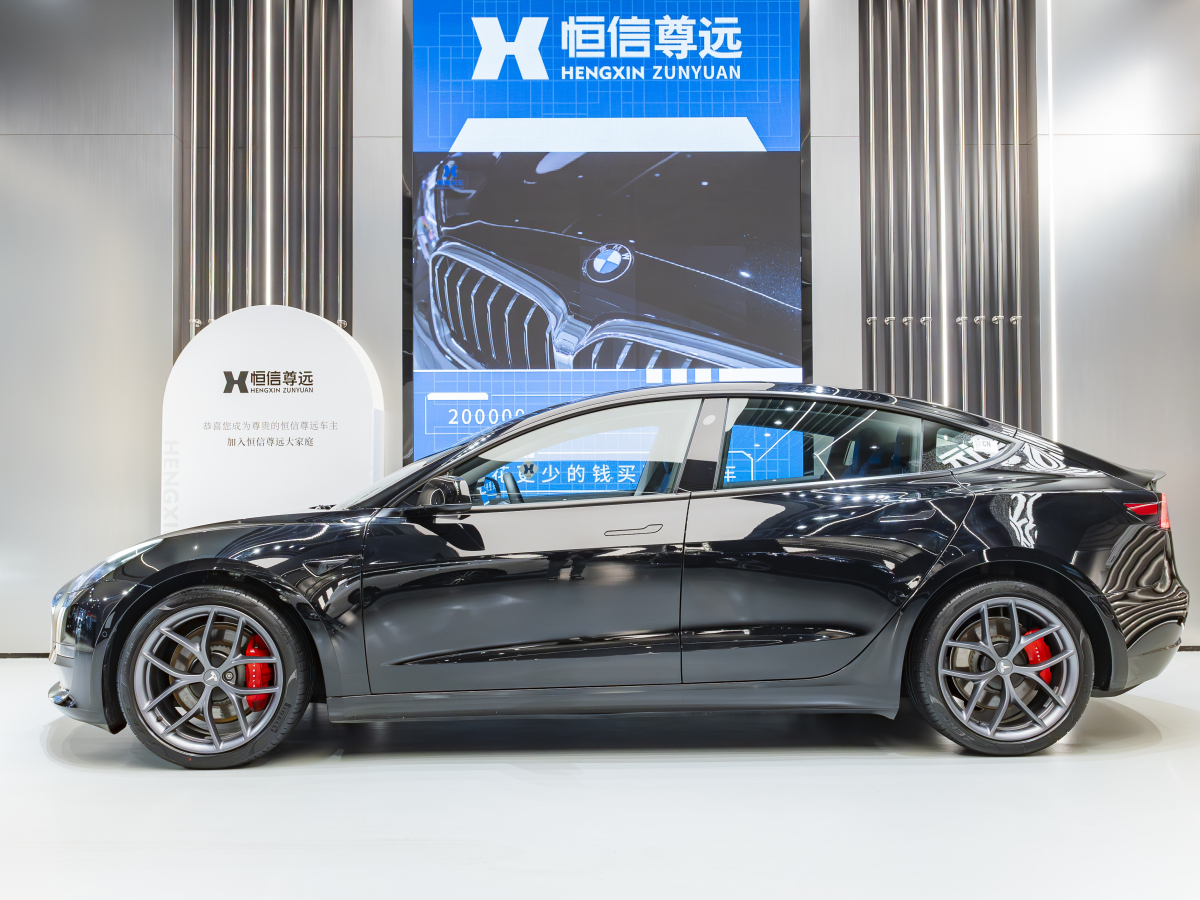 特斯拉 Model 3  2019款 Performance高性能全輪驅(qū)動(dòng)版圖片