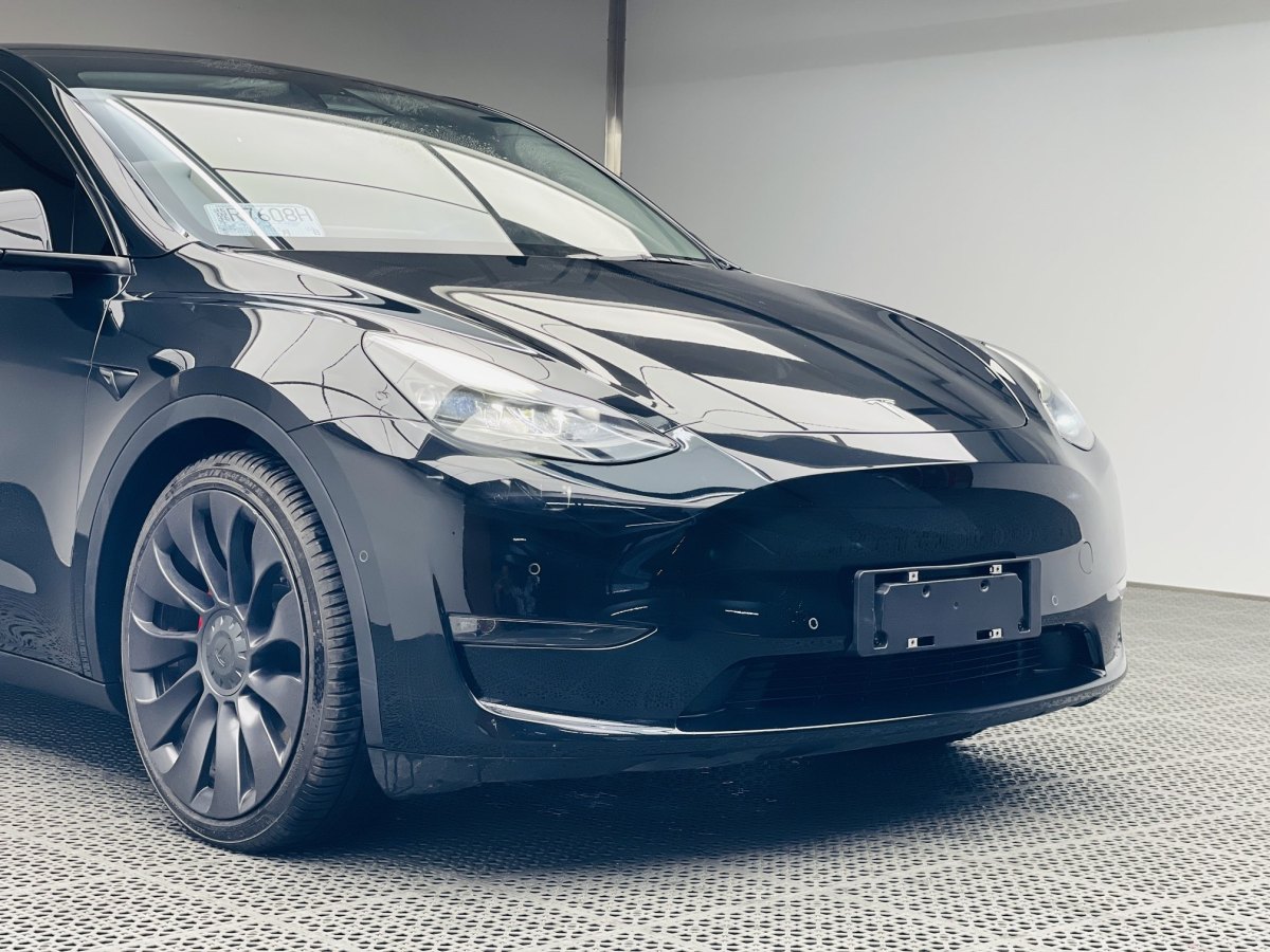 特斯拉 Model Y  2021款 改款 Performance高性能全輪驅(qū)動(dòng)版圖片