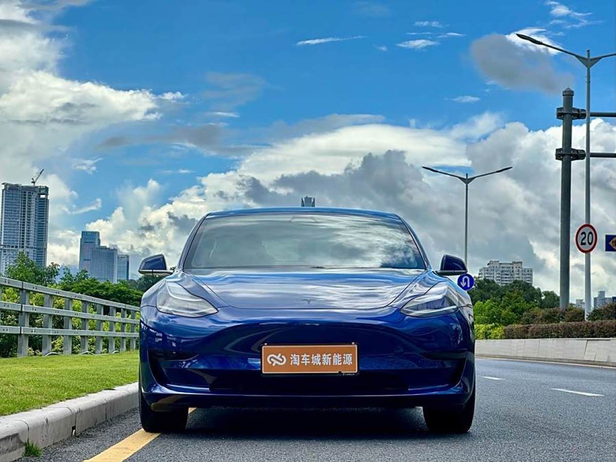 特斯拉 Model 3  2020款 改款 標(biāo)準(zhǔn)續(xù)航后驅(qū)升級版圖片