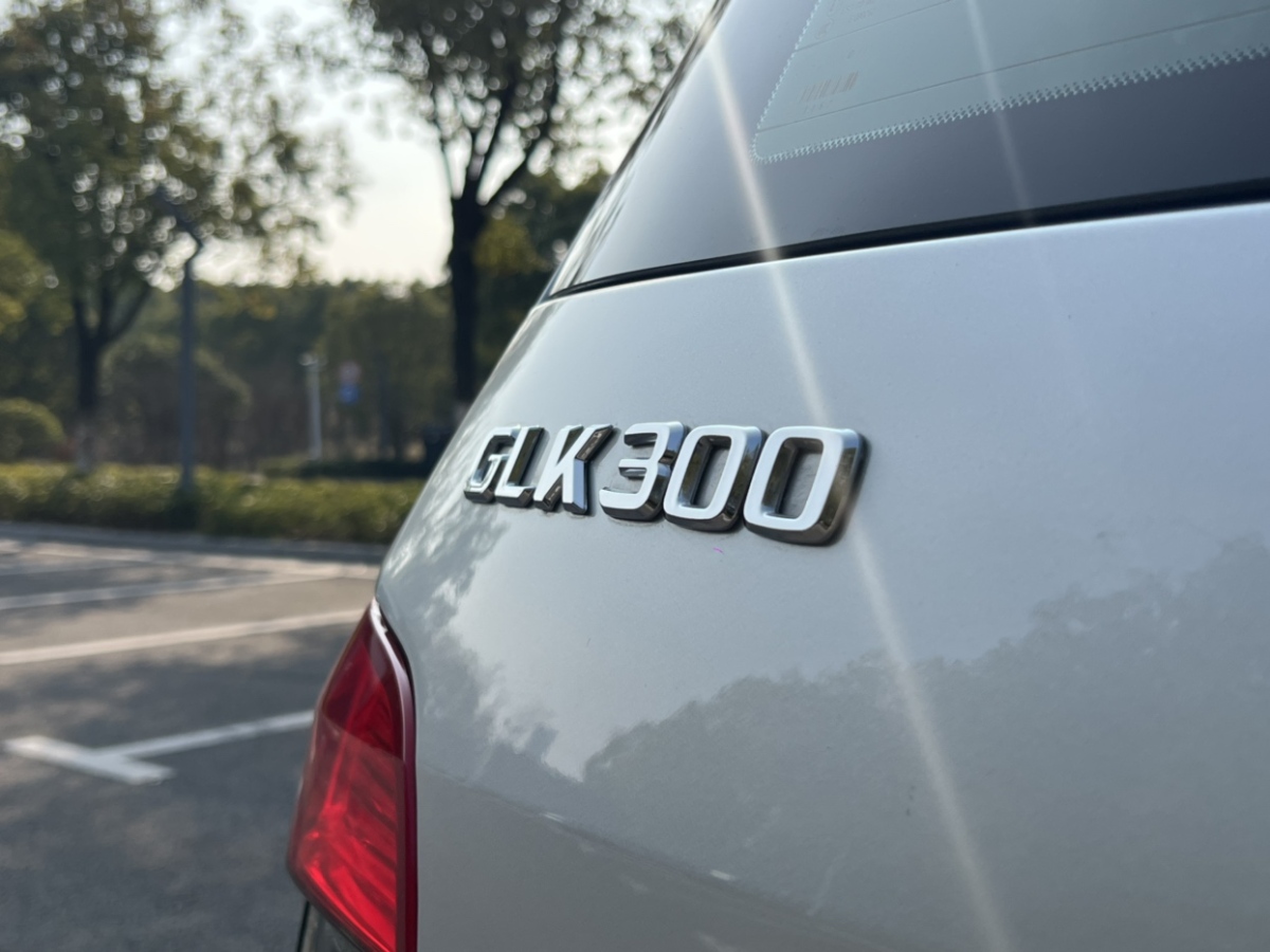 奔馳 奔馳GLK級(jí)  2010款 GLK 300 4MATIC 時(shí)尚型圖片