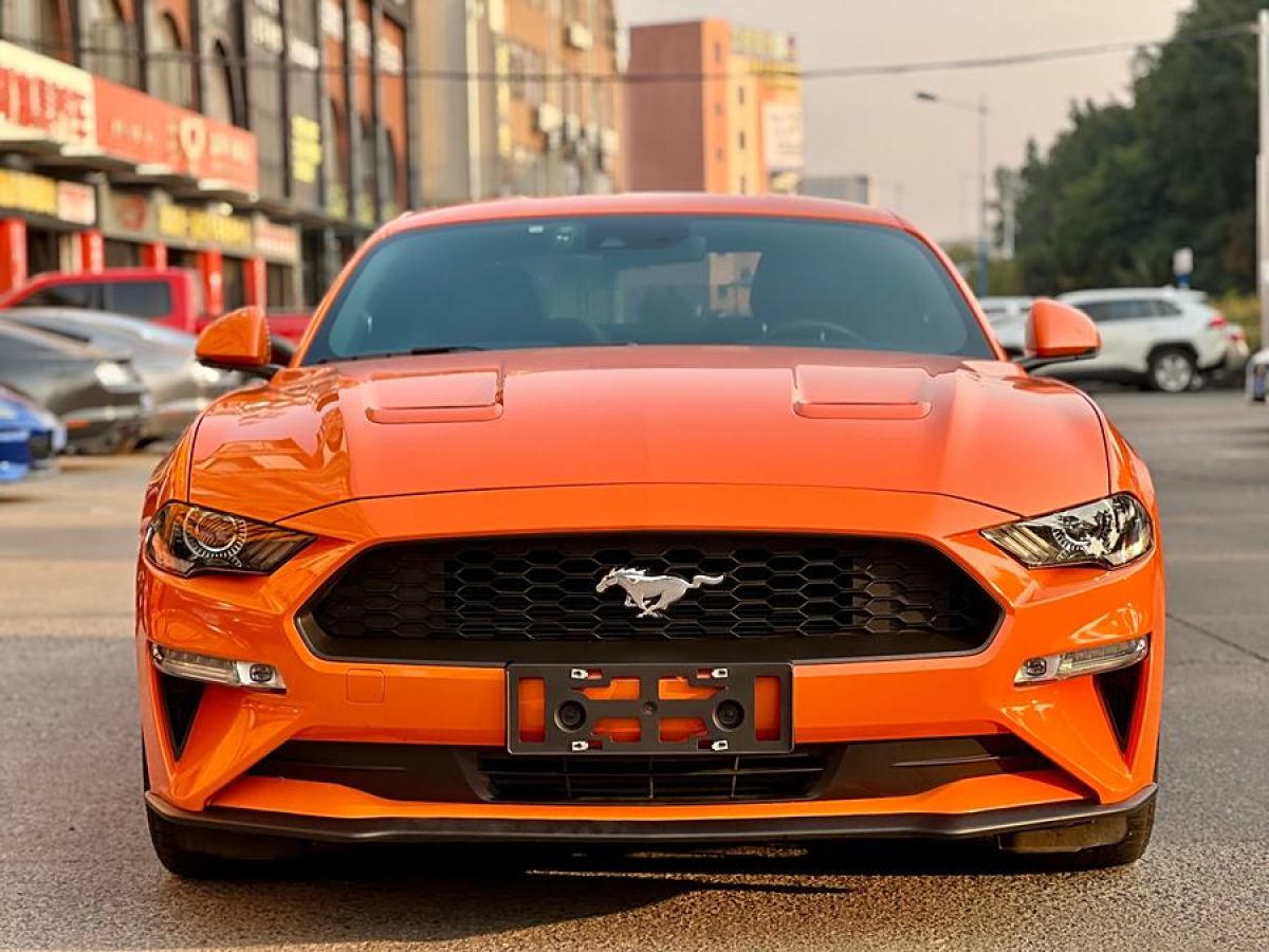 福特 Mustang  2020款 2.3L EcoBoost圖片