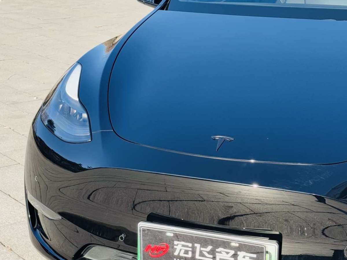 特斯拉 Model Y  2021款 長(zhǎng)續(xù)航全輪驅(qū)動(dòng)版 3D7圖片