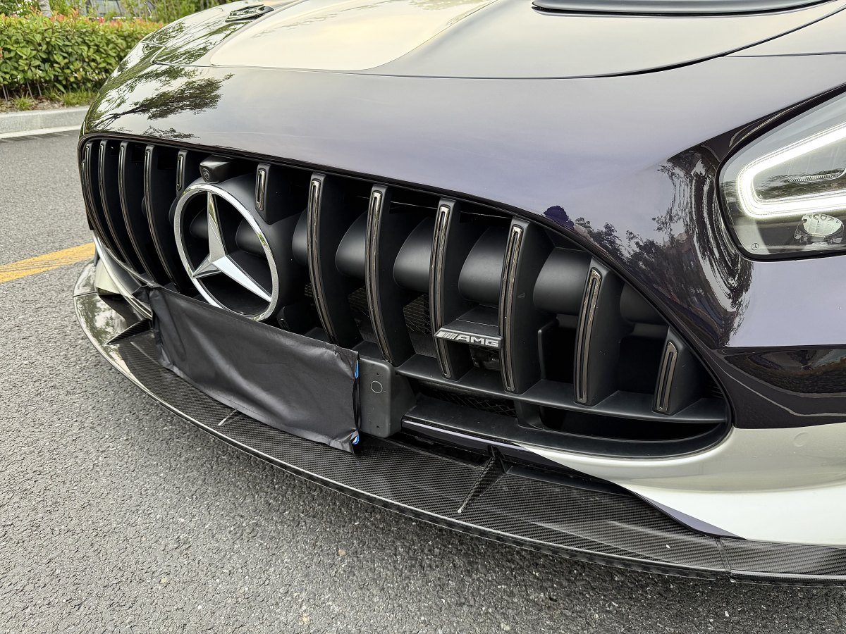 奔馳 奔馳AMG GT  2019款 AMG GT R圖片
