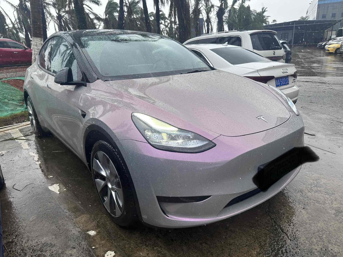 特斯拉 Model Y  2020款 改款 長續(xù)航后輪驅(qū)動版圖片