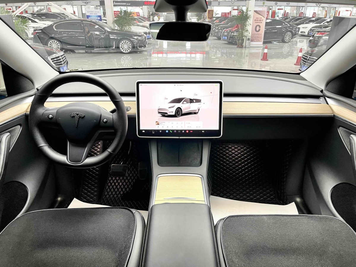 特斯拉 Model Y  2021款 改款 Performance高性能全輪驅(qū)動版圖片