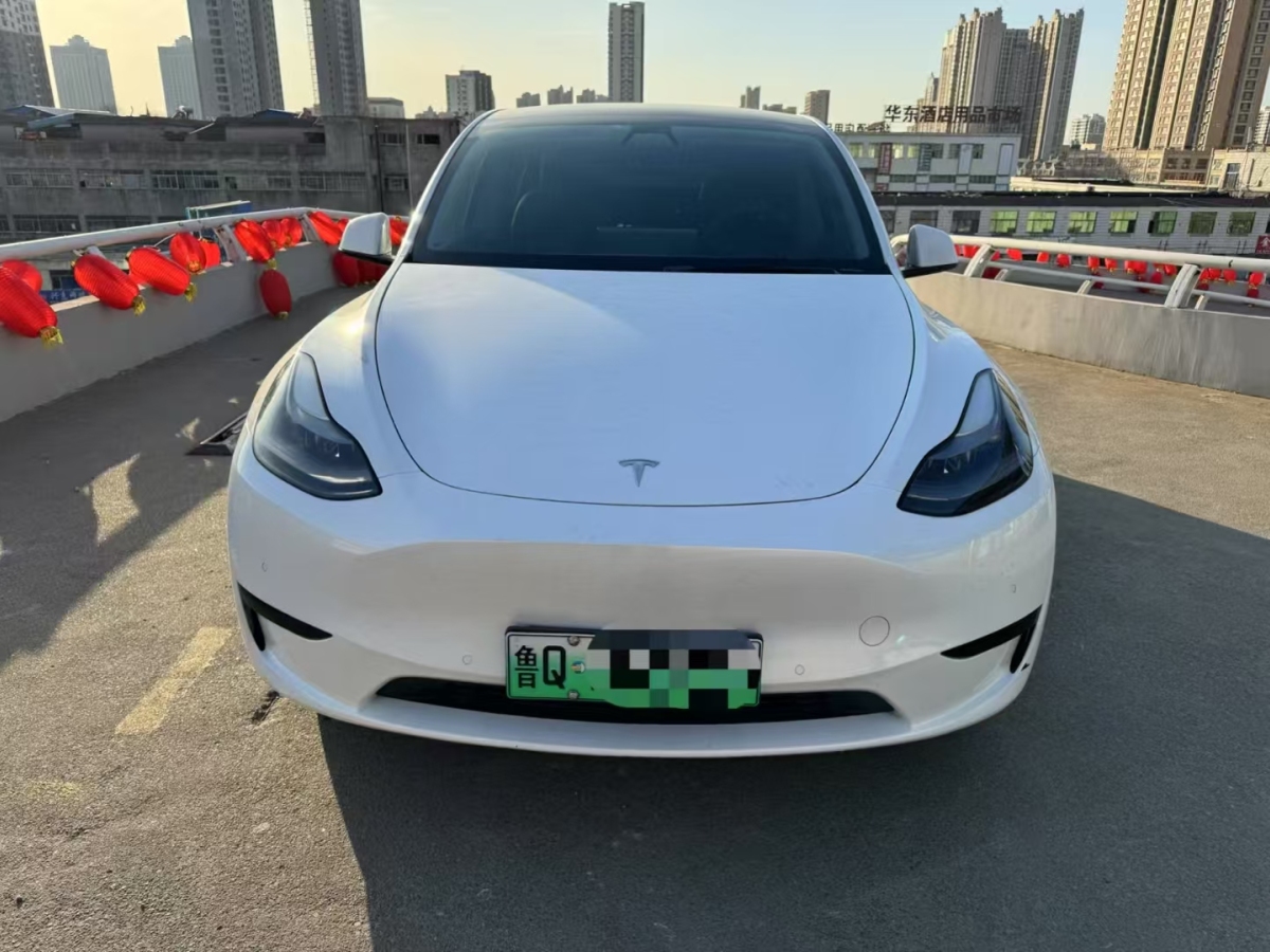 特斯拉 Model 3  2022款 后輪驅(qū)動版圖片