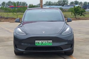 Model Y 特斯拉 后輪驅(qū)動版