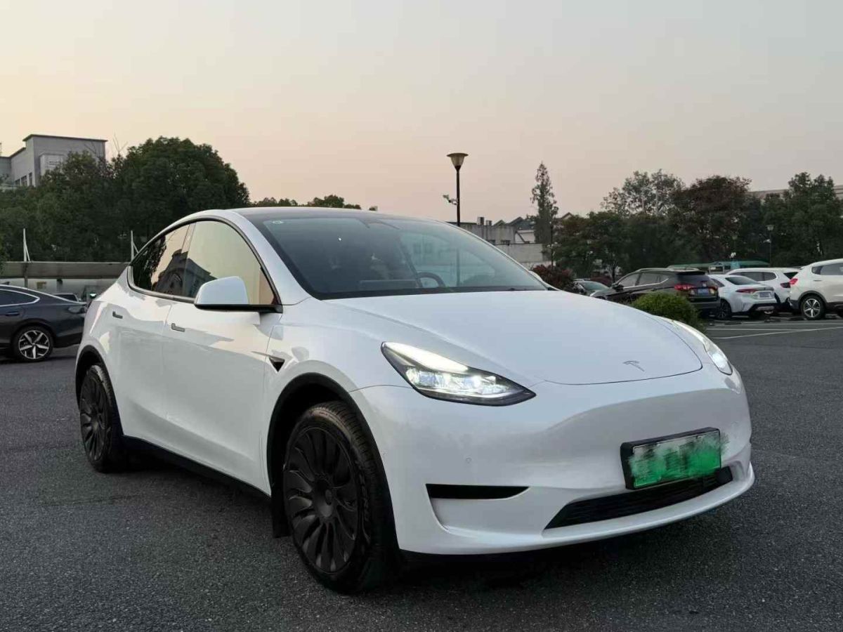 特斯拉 Model S  2023款 三電機(jī)全輪驅(qū)動(dòng) Plaid版圖片