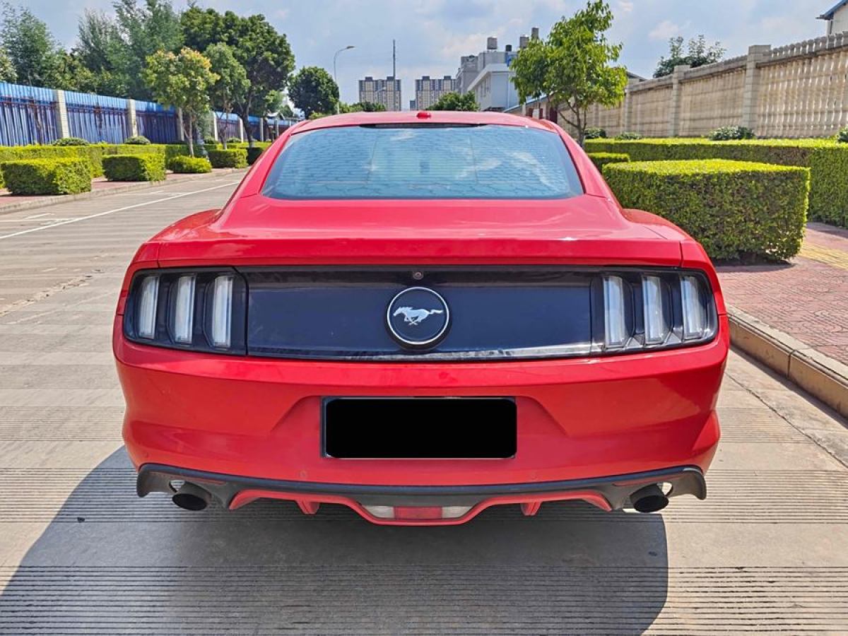 福特 Mustang  2015款 2.3T 性能版圖片